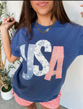 USA Picnic