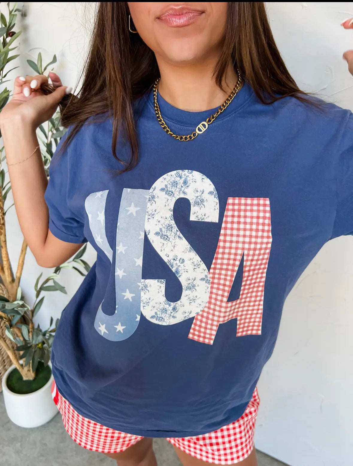 USA Picnic